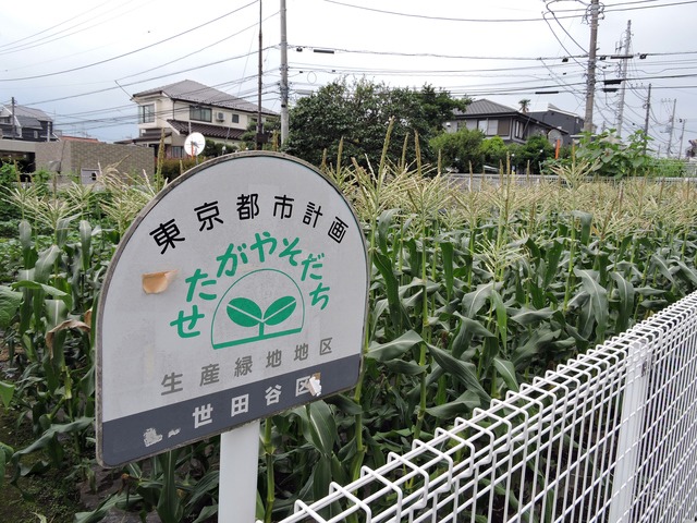 生産緑地法改正について